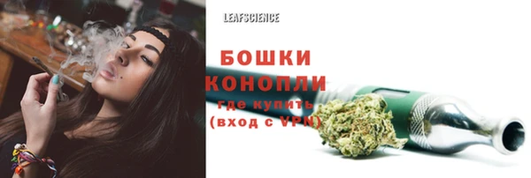 молекула духа Няндома