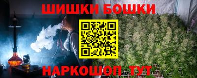 дмт Будённовск
