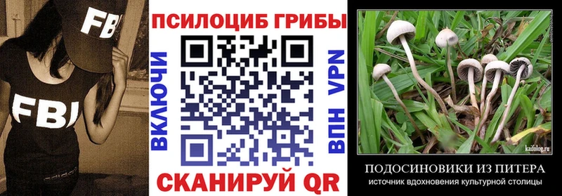 Галлюциногенные грибы Cubensis Североуральск