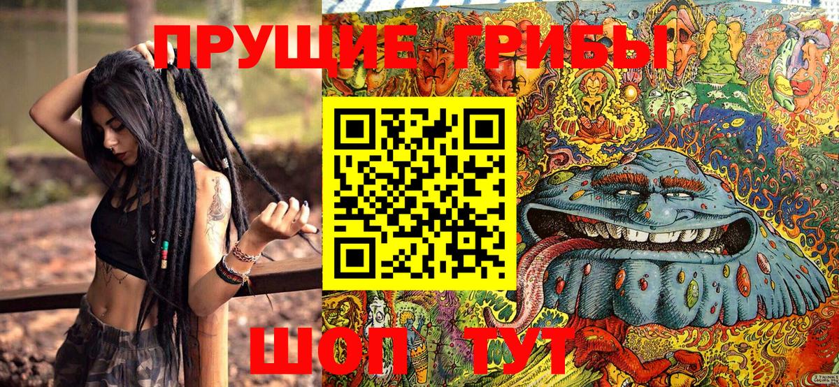 Североуральск  хочу   Вход с VPN  Галлюциногенные грибы GOLDEN TEACHER 